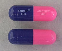 amoxicillin (amoxil) online